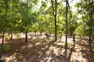1035 Mill Road, Jackson Springs, NC 27281 – photo 3: Mill Road Jackson Springs