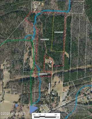 Tbd Morgan Brown Road, Eagle Springs, NC 27242 – photo 2: Photo with wetlands