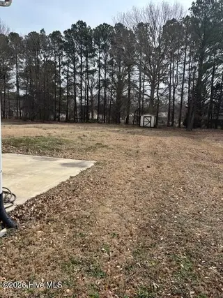 1011 Consolidated Road, Elizabeth City, NC 27909 – photo 12: Back Yard from side