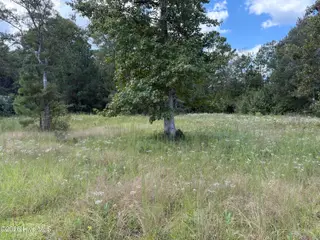 830 1 Benton Road SE, Bolivia, NC 28422 — lot, Bolivia, NC, photo 3 of 5: IMG_4358