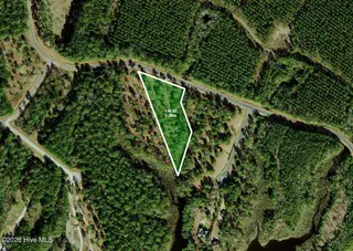 Lot 32 32 Bailey Pointe Drive, Belhaven, NC 27810 – photo 19: BaileyPointe-Lot-32-Sat1