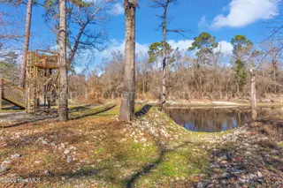 2621 Croomsbridge Road, Burgaw, NC 28425 – photo 19: 2621 croomsbridge rd 00019