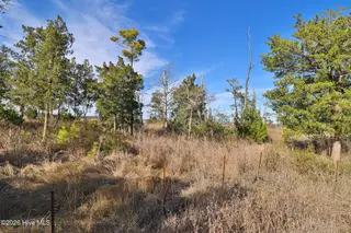 1217 Strange Court, Morehead City, NC 28557 – photo 14: Marsh Front Property in Country Club Run