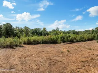 Lot 4 4 Jolly Ole Field Road, Grifton, NC 28530 – photo 13: 12-web-or-mls-DJI_0425