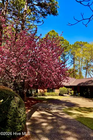 205 Baltusrol Lane, Pinehurst, NC 28374 – photo 9: IMG_9045