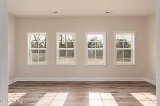 212 Shadow Grass Court, Stella, NC 28582 – photo 14: Flex Room