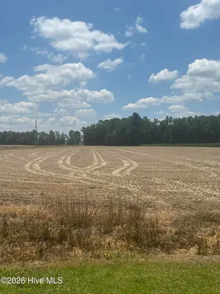 Near 721 Joe Piver Road, Chadbourn, NC 28431 – photo 11: IMG_0180