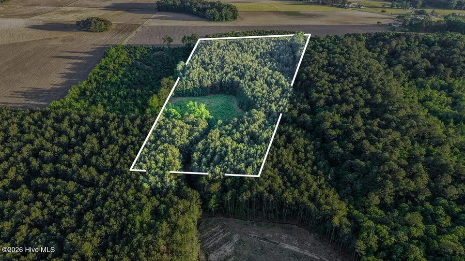 0 Pendergrass Drive, Princeton, NC 27569 – photo 1 of 12: Pendergrass Dr Lot Lines