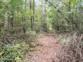 Lot 45 45 Near 519 Deer Lane, Tabor City, NC 28463 – photo 9: IMG_20260830_142244188_HDR_AE