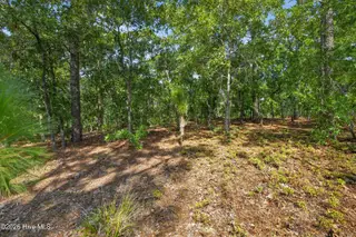 Lot 1 1 Sanders Road, Wilmington, NC 28412 – photo 7: SandersRoadLot-5