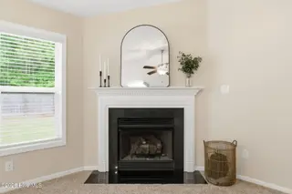306 Station House Road, New Bern, NC 28562 – photo 14: gas fireplace