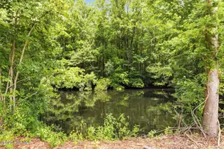 27 Big Creek Circle, Lake Waccamaw, NC 28450 – photo 18: 018_27_big_creek_circle-18_122