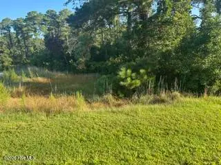 1616 144 Caracara Drive, New Bern, NC 28560 – photo 2: IMG_0844