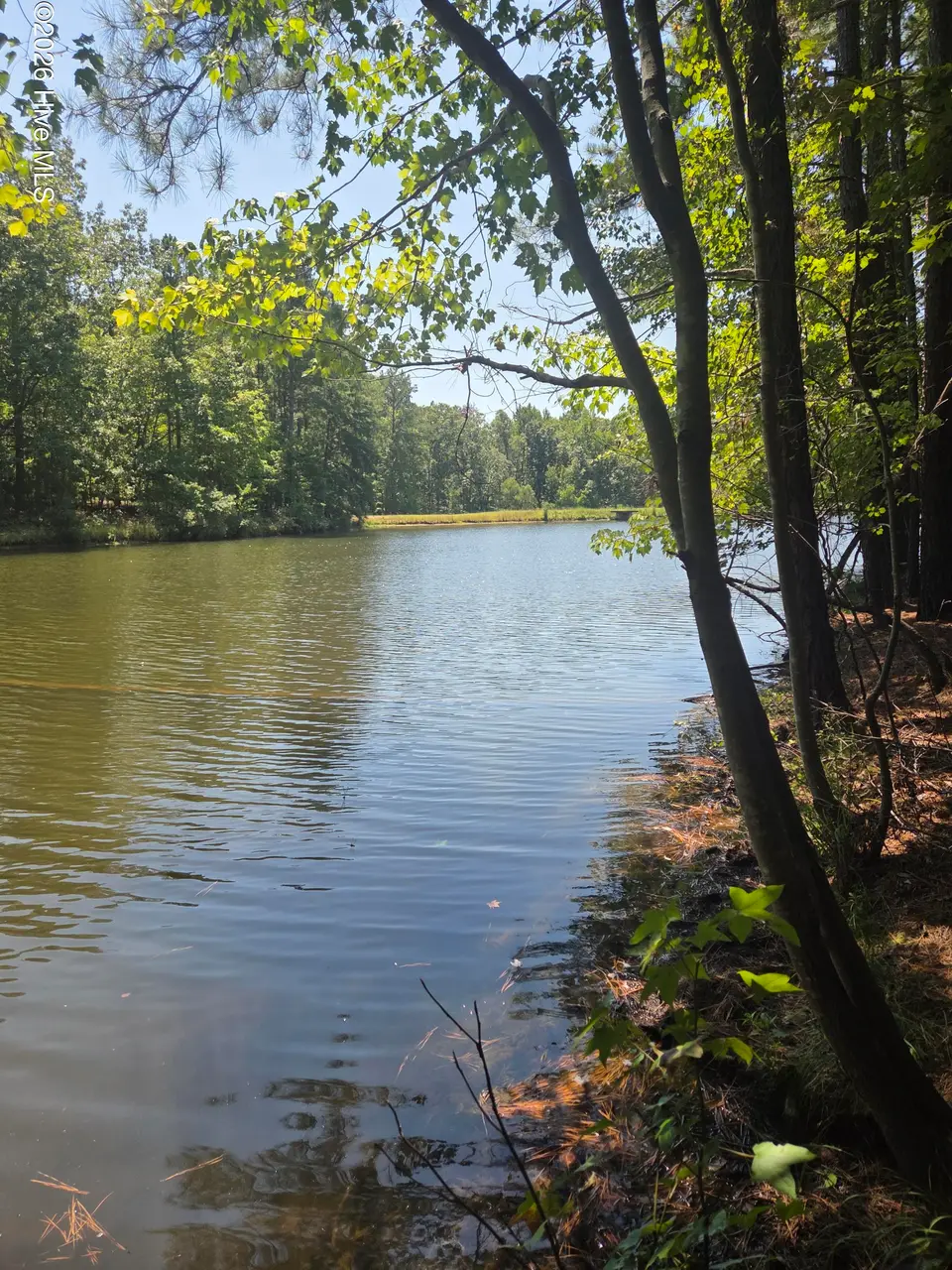 Lot 45b 45B Appaloosa Lake Drive, Carthage, NC 28327 – photo 1 of 19: Lake Front