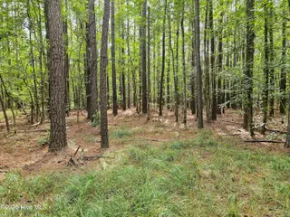 Lot 77 77 Mcgowan Road, Bath, NC 27808 – photo 5: 20250908_153127b