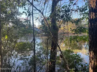408 Lot 4, La Grange, NC 28551 – photo 2: Back of lot-Lake View