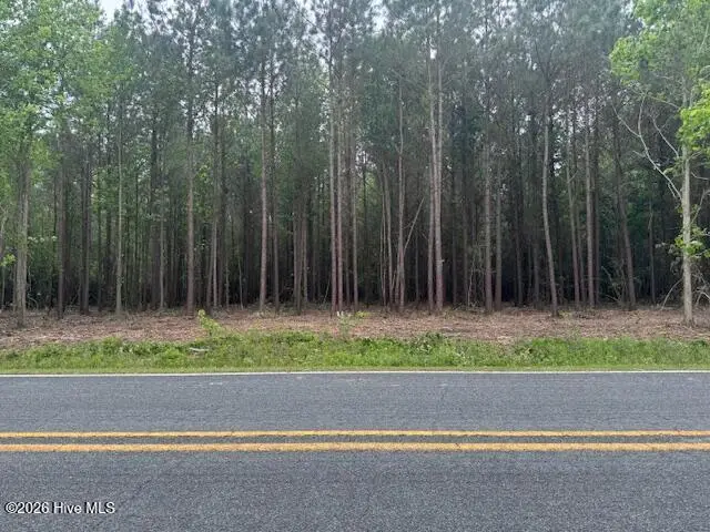 1 1 Great Swamp Road, Ernul, NC 28527 – photo 1 of 1: IMG_4222 (1)