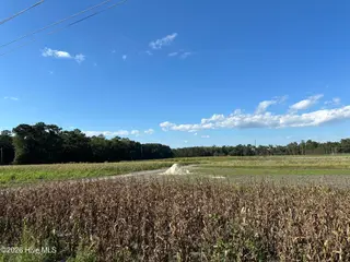 000 Willis Farm Tract-1 Road, Newport, NC 28570 — lot, Newport, NC, photo 3 of 5: IMG_0051