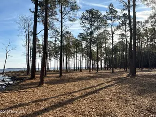 0 Norfleet Shores Road, Belhaven, NC 27810 – photo 24: IMG_0824 2