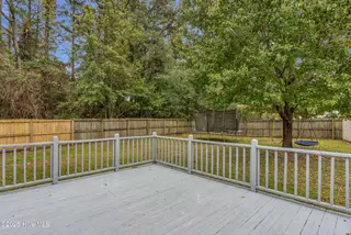 319 Palamino Trail, Jacksonville, NC 28546 – photo 23: Backyard