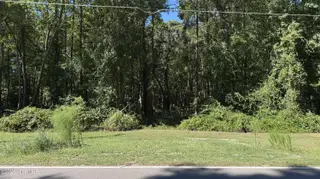 6033 Homestead Road, Elm City, NC 27822 — lot, Elm City, NC, photo 15 of 42: IMG_9311