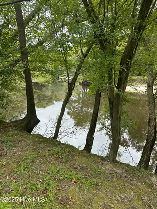 2593 Croomsbridge Road, Burgaw, NC 28425 – photo 15: IMG_1219