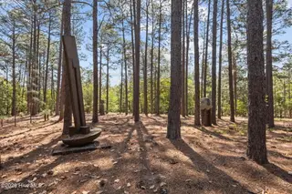 155 Harmony Lane, Southern Pines, NC 28387 – photo 7: 65-web-or-mls-IMG_8596