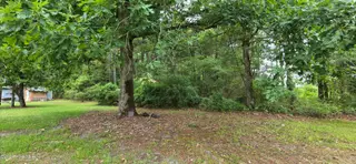 1779 Whichard Cherry Lane Road, Stokes, NC 27884 – photo 9: 20260626_160210