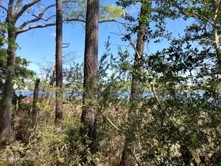 0 Lukeath Carter Drive, Havelock, NC 28532 – photo 6: LCD05