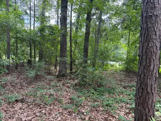 118 66 Ferret Run Lane, New Bern, NC 28562 – photo 4: IMG_7805