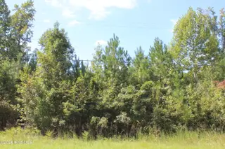 321 Pine Cliff Road, Havelock, NC 28532 — lot, Havelock, NC, photo 2 of 2: 321 Pine Cliff Road View 2