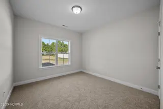 318 Shortleaf Drive, Grimesland, NC 27837 – photo 21: 36-web-or-mls-DSC_1350