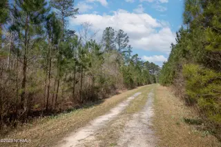 0 Nc-903, Stokes, NC 27884 – photo 7: Stokes Tract 4