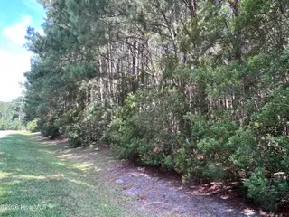 42 Windy Point, Belhaven, NC 27810 – photo 4: IMG_5853