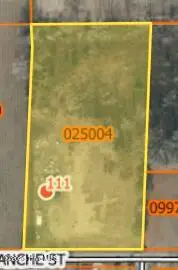 111 Blanche Street, Chadbourn, NC 28431 – photo 8: GIS aerial