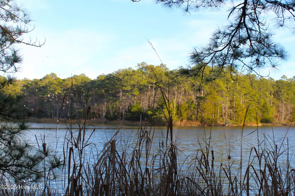 145 Heron Drive, Havelock, NC 28532 – photo 1 of 19: Lot with Water frontage