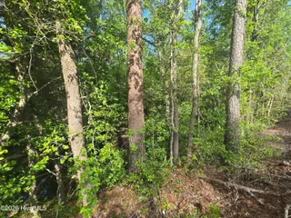 Tbd 35-40 Cabins Creek Road, Vass, NC 28394 – photo 2: 20260508_162854