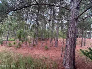 111 Callis Circle, West End, NC 27376 – photo 16: IMG_4829 2