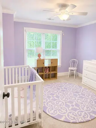 459 Alton Village Drive, Greenville, NC 27858 – photo 14: Norris.14