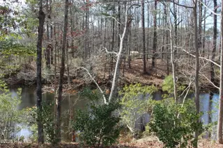 4507 Rivershore Drive, New Bern, NC 28560 – photo 6: view 2 of pond