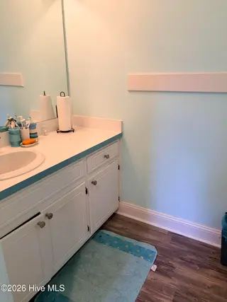 3013 Brassfield Drive, Rocky Mount, NC 27803 – photo 13: Brassfieldmasterbath