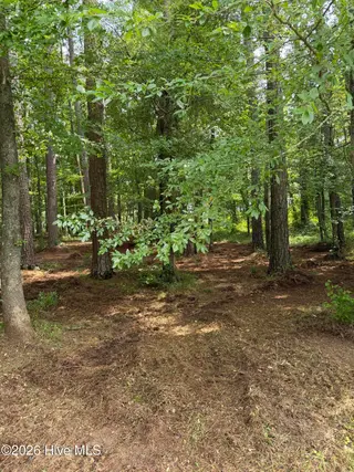 0 94 Winfield Lane, Pinetown, NC 27865 – photo 8: IMG_0569