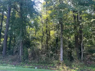 12045 Andrew Jackson Highway SW, Fair Bluff, NC 28439 – photo 18: IMG_9769