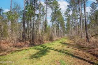 0 Nc-903, Stokes, NC 27884 – photo 17: Stokes Tract 20