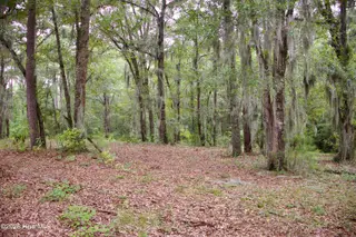 385 Sand Ridge Road, New Bern, NC 28560 – photo 12: IMG_4498