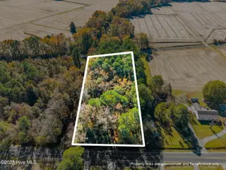 3278 Moye Turnage Road, Farmville, NC 27828 – photo 2: Aerial - Property Lines