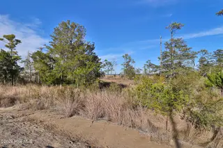 1217 Strange Court, Morehead City, NC 28557 – photo 13: Marsh Front Property in Country Club Run