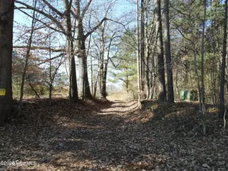 00 Sykes Road, Nashville, NC 27856 – photo 2: SR MLS 2