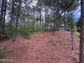 111 Callis Circle, West End, NC 27376 – photo 13: IMG_4823 2