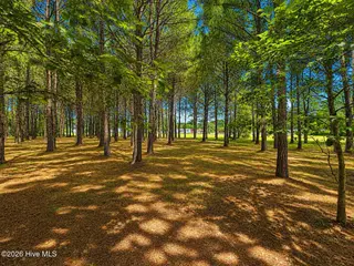 28 Bunn Road, Kenly, NC 27542 – photo 2: 0F75BC5F-4BC5-4C77-8908-424C0A9C74ED